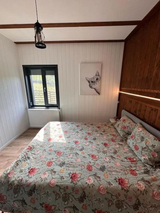 Alpine Chalet Predelut Ngoại thất bức ảnh