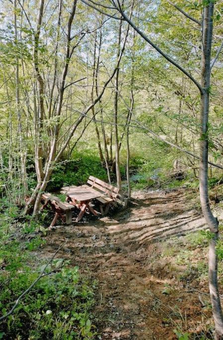 Alpine Chalet Predelut Ngoại thất bức ảnh